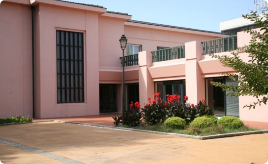 Engineer António de Almeida Foundation House Museum  